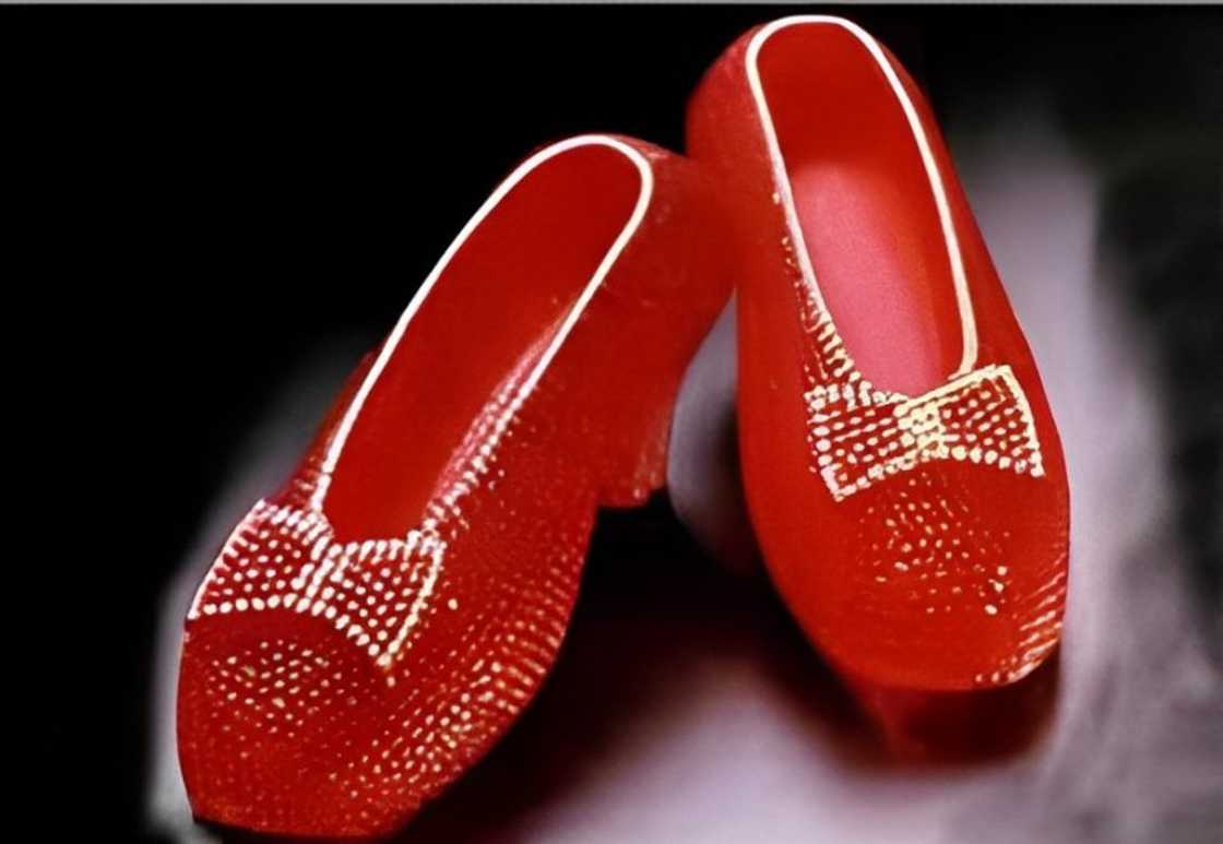 Harry Winston Ruby Slippers are on a blurred background