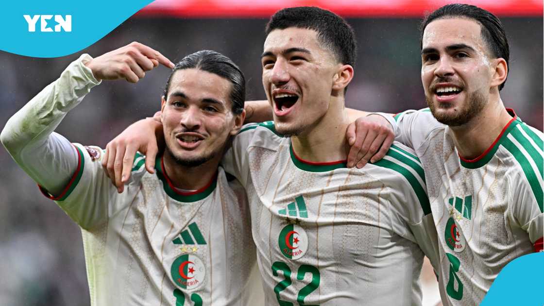 AFCON 2025, Nigeria, Super Eagles, Algeria national team, Cameroon football, DR Congo, AFCON knockout rounds, Africa Cup of Nations, AFCON goals and highlights. AFCON 2025, Nigeria, Super Eagles, Algeria national team, Cameroon football, DR Congo, AFCON knockout rounds, Africa Cup of Nations, AFCON goals and highlights.