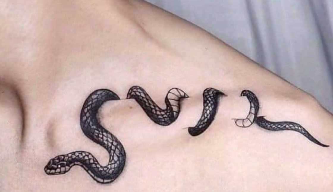 Realistic snake wraparound tattoo