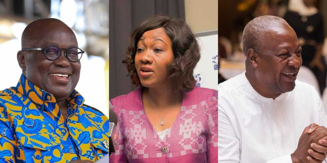 Election petition: Figures were just thrown out to give Akufo-Addo victory - Tsatsu Tsikata Election petition: Figures were just thrown out to give Akufo-Addo victory - Tsatsu Tsikata