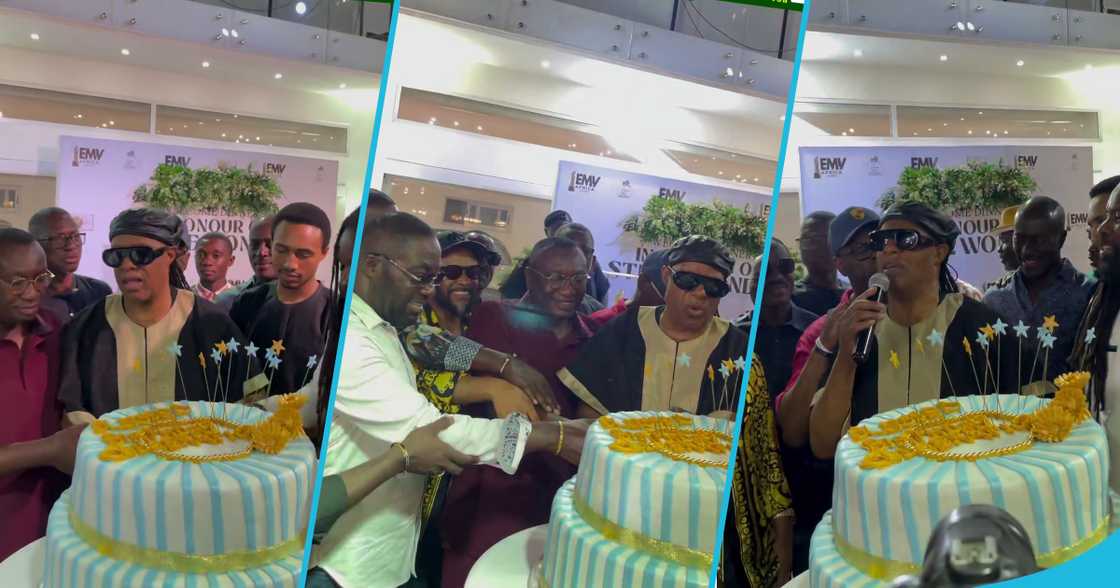 Stevie Wonder's birthday party in Ghana