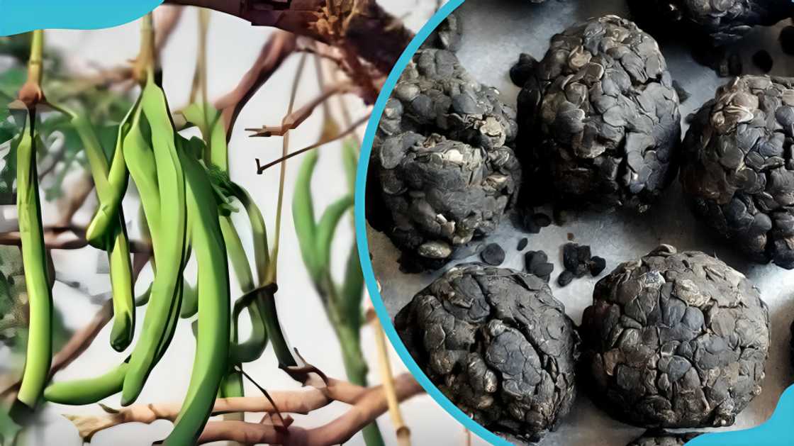 spices in Ghana spices in Ghana