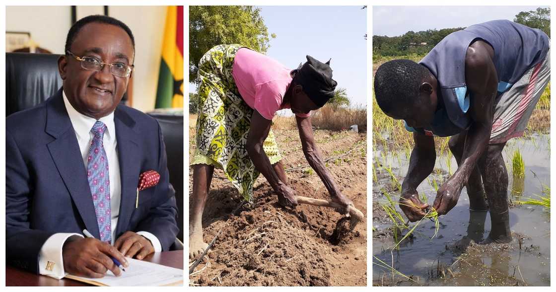 Afriyie akoto and farmers Afriyie akoto and farmers