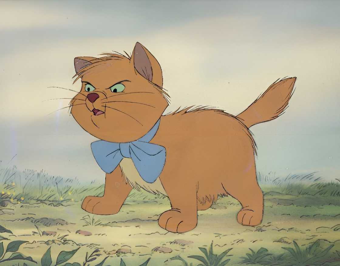 Toulouse is walking on a grassy background Toulouse is walking on a grassy background