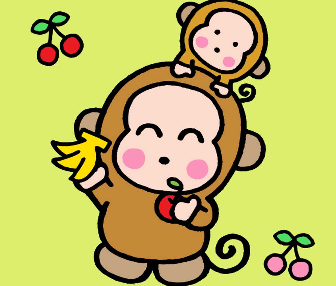 Sanrio character Monkichi Sanrio character Monkichi