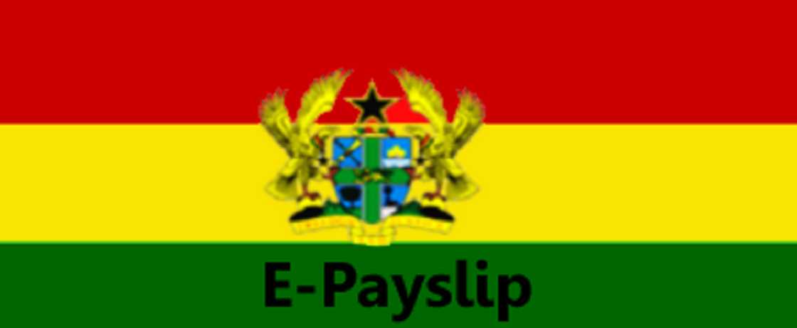 e-spv system return e-spv system return