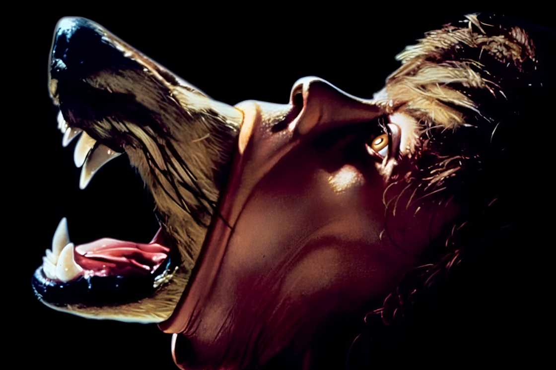 The Company of Wolves (1984) poster The Company of Wolves (1984) poster