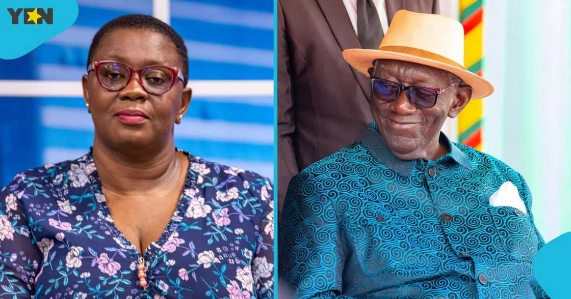 Ellen Ama Daaku, Aide to Dr Mahamudu Bawumia, John Agyekum Kufuor, former president, NPP, Nana Akufo-Addo