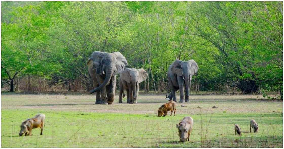 A popular tourist destination in Ghana A popular tourist destination in Ghana