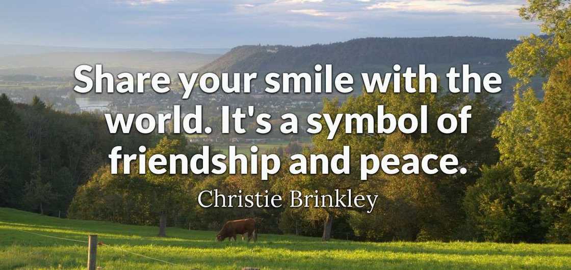 smile quotes
cute smile quotes
love smile quotes
famous smile quotes
smile quotes for her smile quotes
cute smile quotes
love smile quotes
famous smile quotes
smile quotes for her