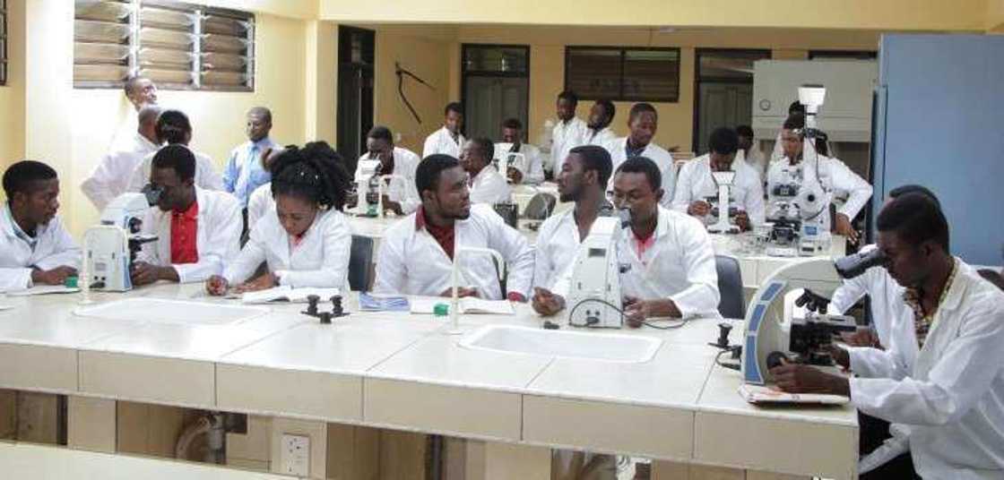 1 in 3 laboratory technicians has no licence in Ghana 1 in 3 laboratory technicians has no licence in Ghana