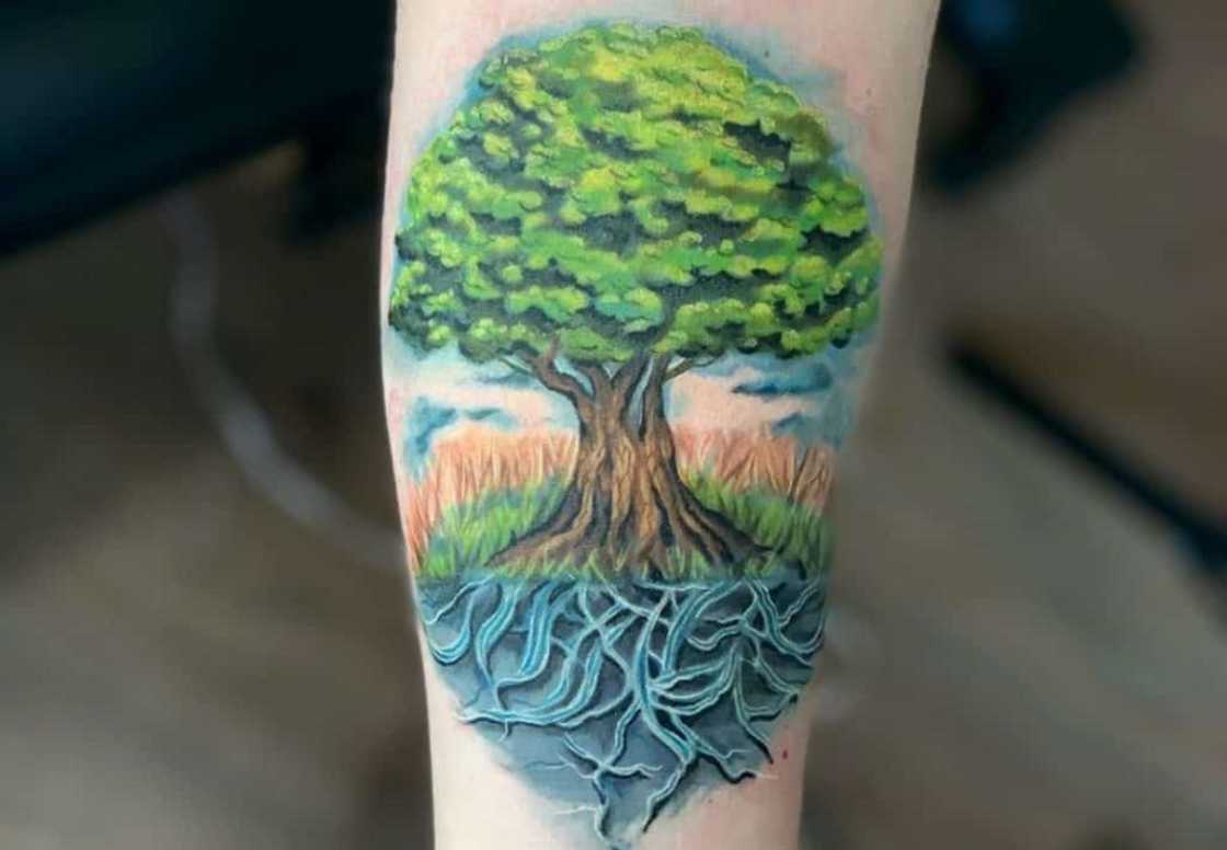 tree of life tattoo ideas tree of life tattoo ideas