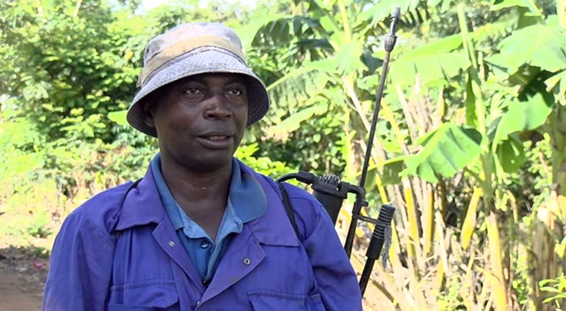 At Akyem-Tafo Nobi, you must climb a tree to receive a phone call At Akyem-Tafo Nobi, you must climb a tree to receive a phone call