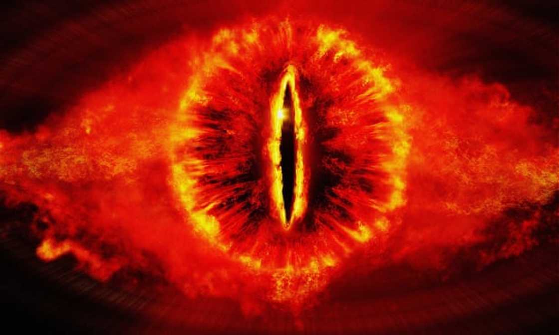 Lord of the Rings movies in order Lord of the Rings movies in order