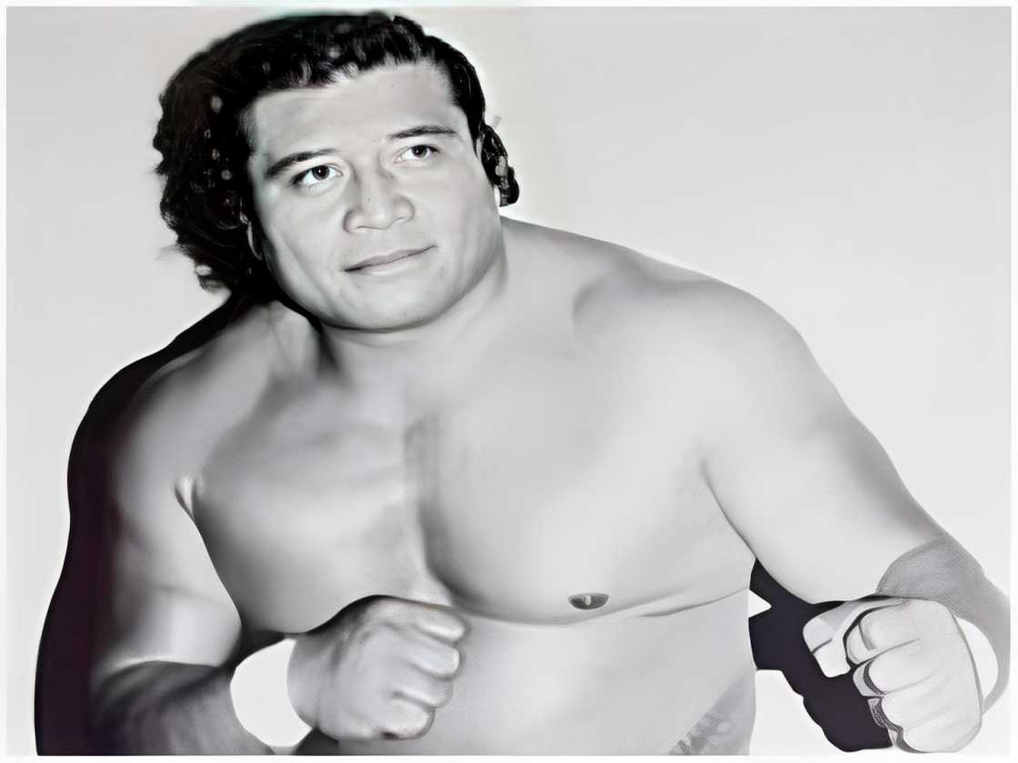 Peter Maivia poses for a photo during a past event Peter Maivia poses for a photo during a past event