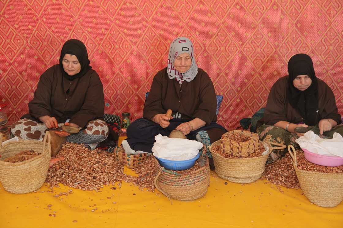 Berber women open argan nuts with rocks to get to the kernels for making argan oil Berber women open argan nuts with rocks to get to the kernels for making argan oil