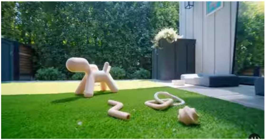 Play area for her dogs Play area for her dogs