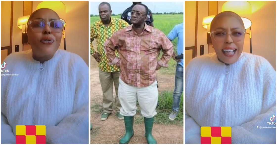 Afia Schwarzenegger Afia Schwarzenegger