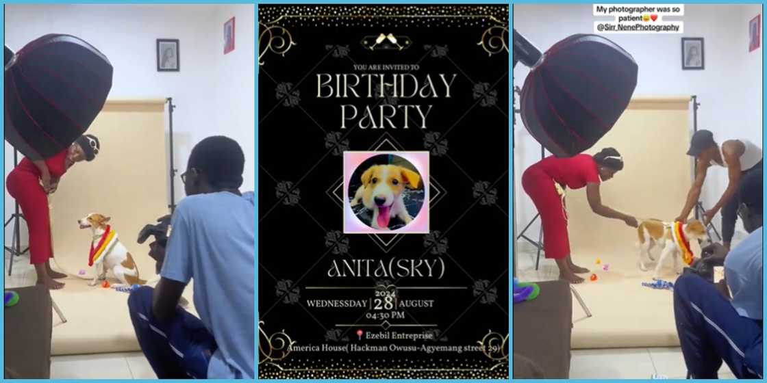 Lady organises photoshoot to celebrate her dog at East Legon on August 28, 2024.