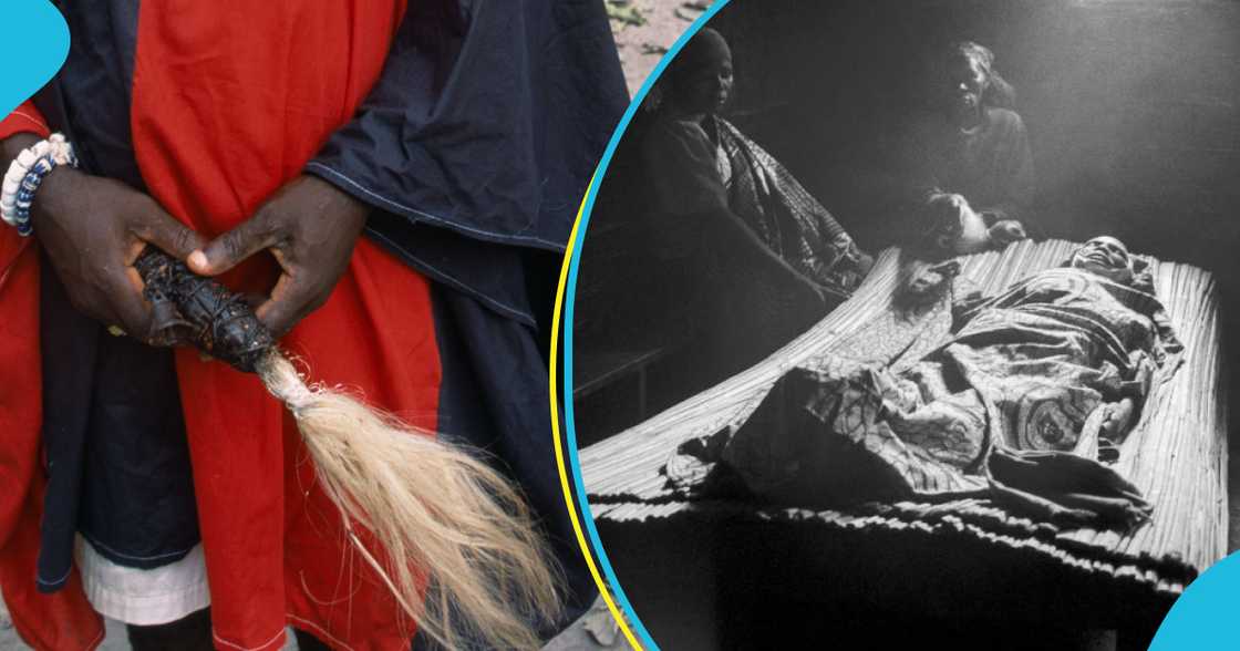 Woman's body left to rot Woman's body left to rot