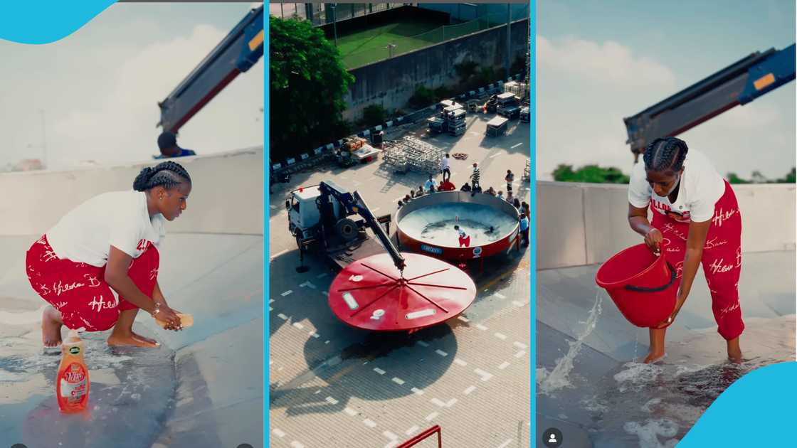 Hilda Baci, Ghana Jollof, Nigeria Jollof, Guinness World Record, Largest pot of Jollof rice