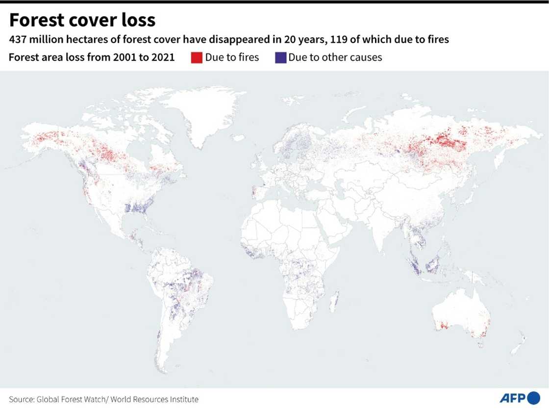Forest cover loss Forest cover loss