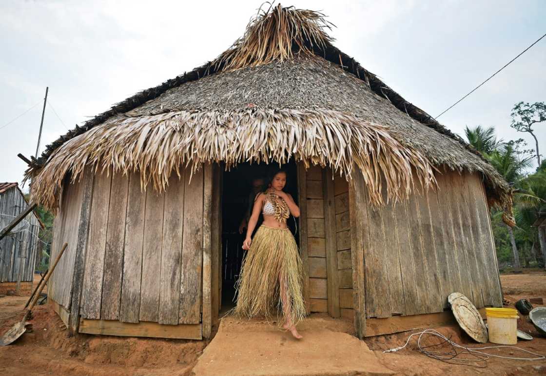 Fewer than 200 members remain of the Urue-eu-wau-wau tribe, traditionally hunter-gatherers who live in a protected area of Brazil's Amazon rainforest, surrounded and encroached upon by aggressive and illegal settlers, farmers and loggers Fewer than 200 members remain of the Urue-eu-wau-wau tribe, traditionally hunter-gatherers who live in a protected area of Brazil's Amazon rainforest, surrounded and encroached upon by aggressive and illegal settlers, farmers and loggers