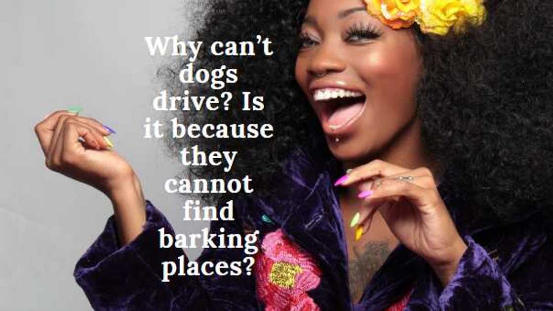 short question jokes short question jokes