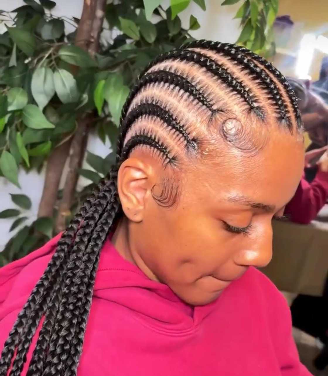 Stitch braids Stitch braids