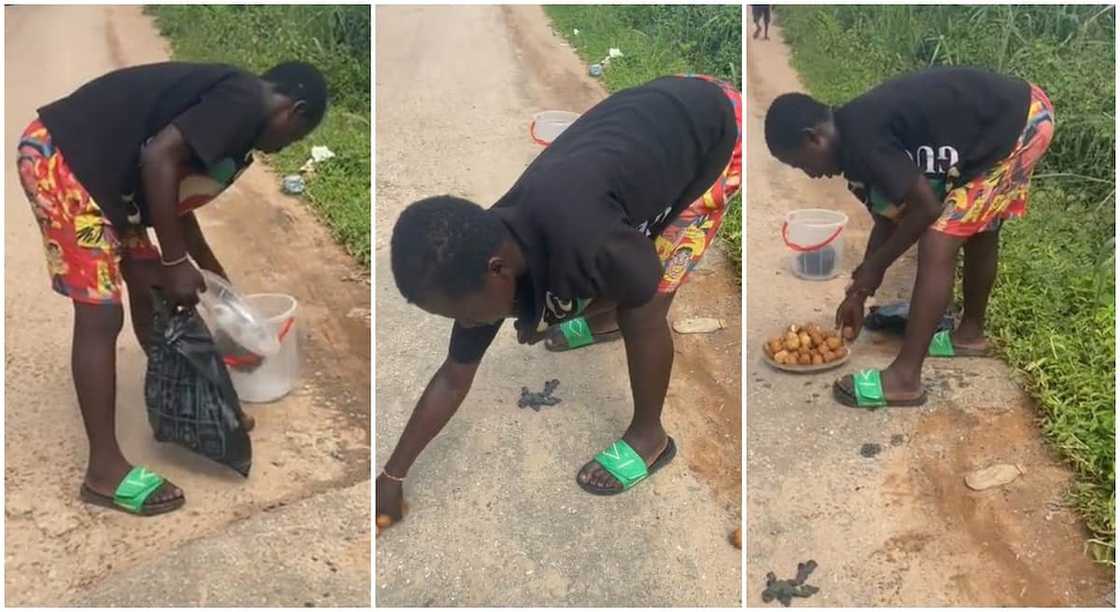 Nigerian boy who spilt his grandmother's 'puf puf' tries to pick it on the ground.