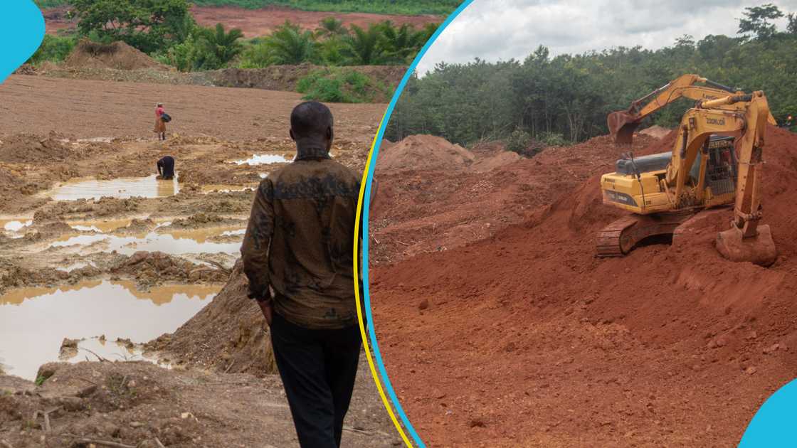 GoldBod, Ghana Gold Board, gold trading licenses, small-scale miners, galamsey GoldBod, Ghana Gold Board, gold trading licenses, small-scale miners, galamsey