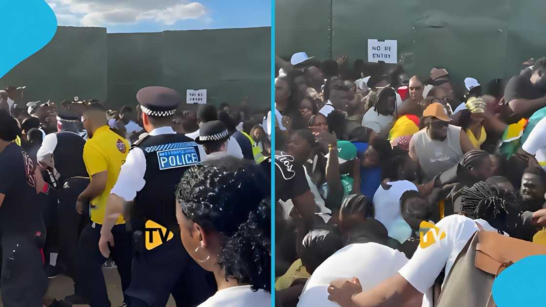 ghana party in the park, shatta wale, ghana party in the park london, shattafest uk, ghana party in the park injuries, stonebwoy shatta wale ghana party in the park, shatta wale, ghana party in the park london, shattafest uk, ghana party in the park injuries, stonebwoy shatta wale