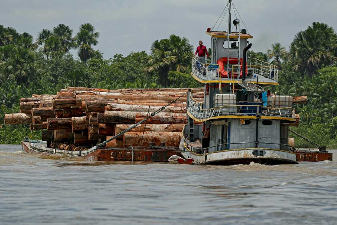 A boat transports logs along the Murutipucu River in northeast Para, Brazil in September 2020 A boat transports logs along the Murutipucu River in northeast Para, Brazil in September 2020