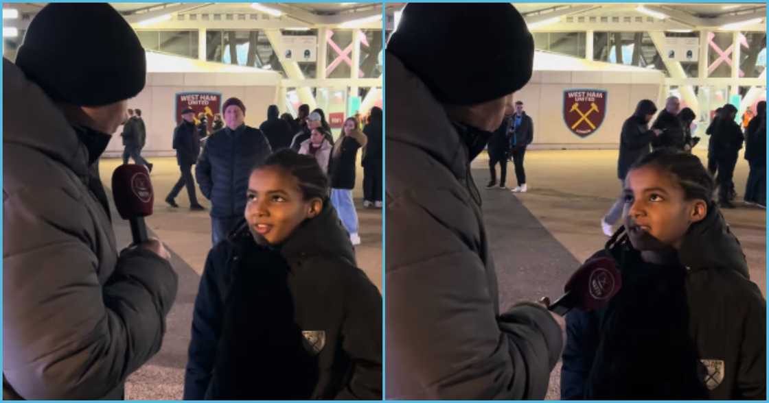 Photo of young West Ham fan Photo of young West Ham fan
