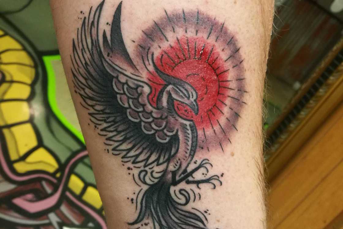 feminine rebirth phoenix tattoo feminine rebirth phoenix tattoo