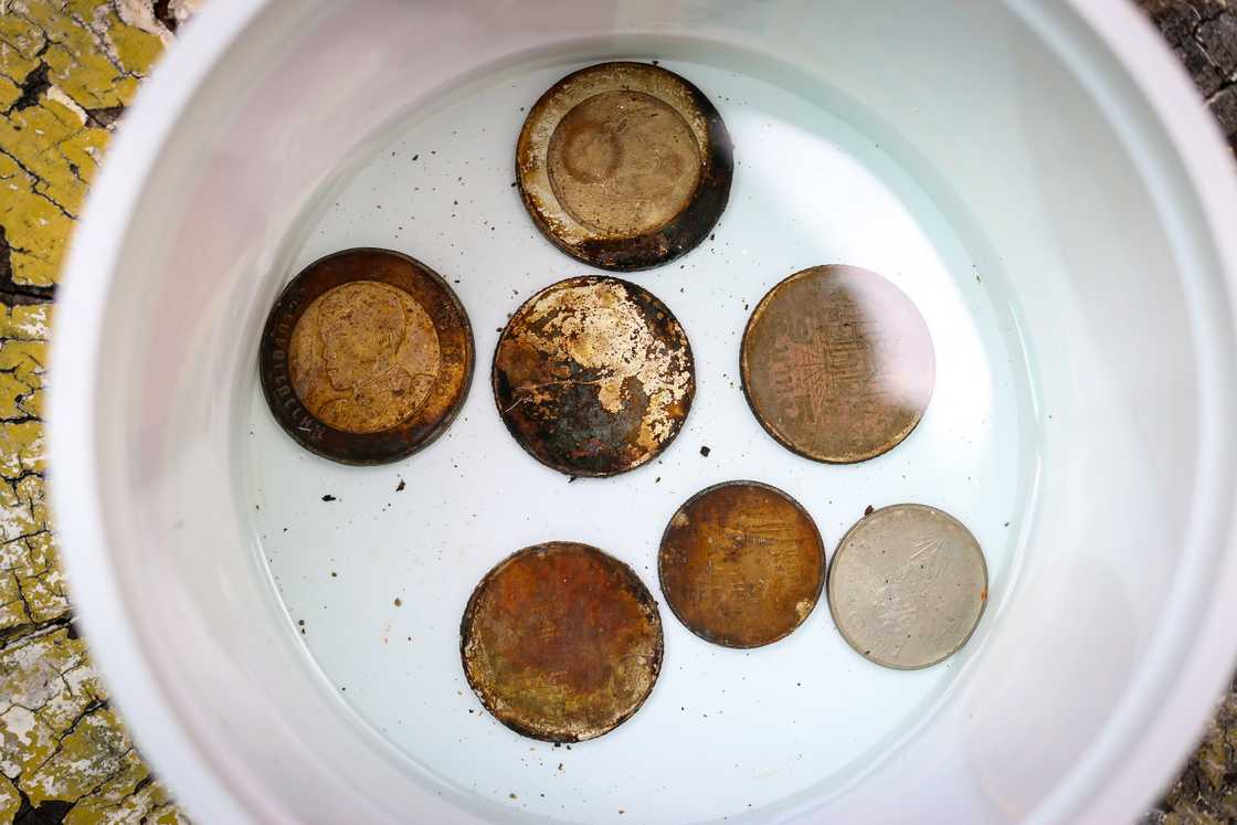 Rusty coins in a vinegar solution Rusty coins in a vinegar solution