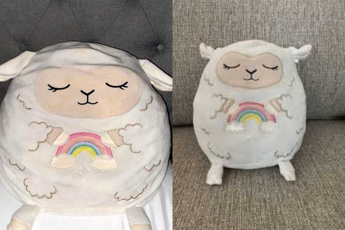 Blossom the Sheep is sitting on dark and light grey couches Blossom the Sheep is sitting on dark and light grey couches