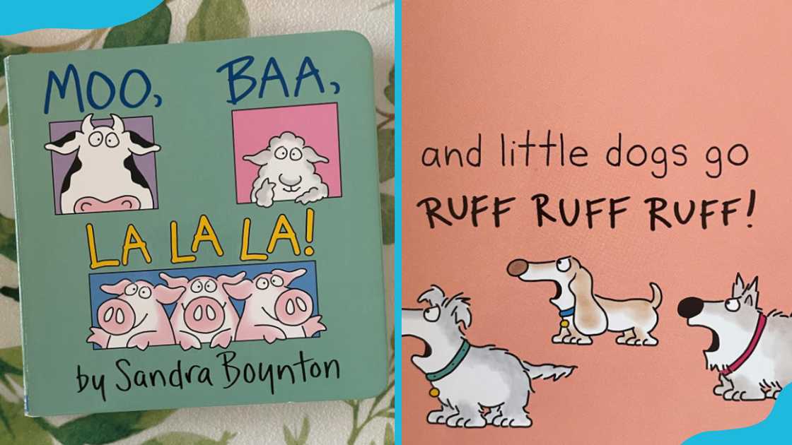 Sandra Boynton's books Sandra Boynton's books