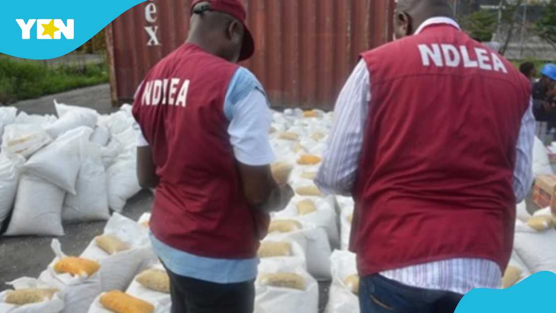 Tramadol, NDLEA, drug, smuggling, Accra, Lagos Tramadol, NDLEA, drug, smuggling, Accra, Lagos