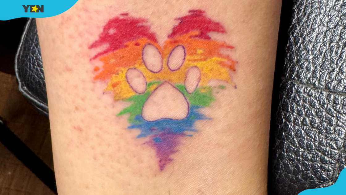 Rainbow heart and paw print tattoo Rainbow heart and paw print tattoo