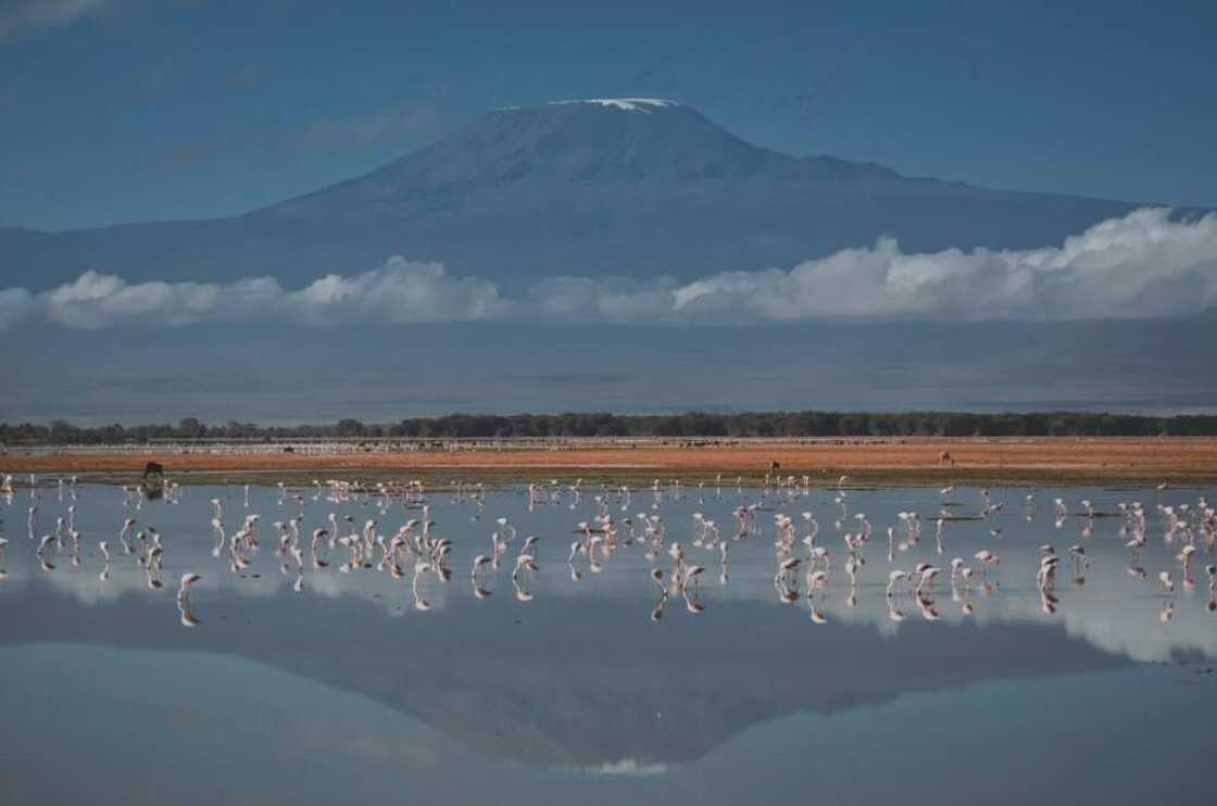 Kilimanjaro National Park is among the World Heritage sites expected to lose their glaciers by 2050