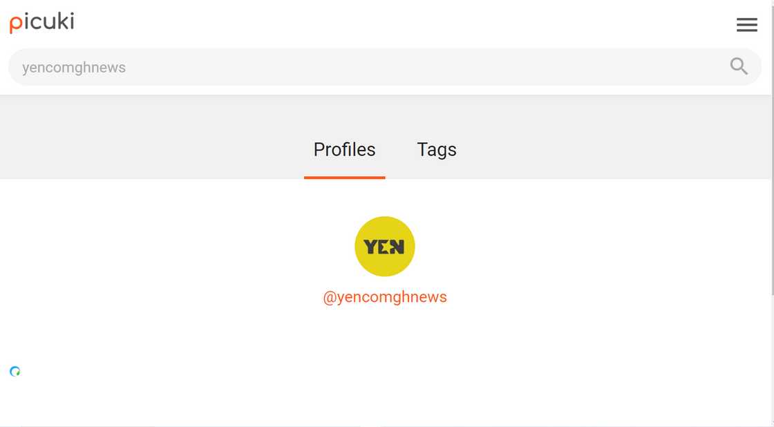 The Picuki website search result page. The Picuki website search result page.