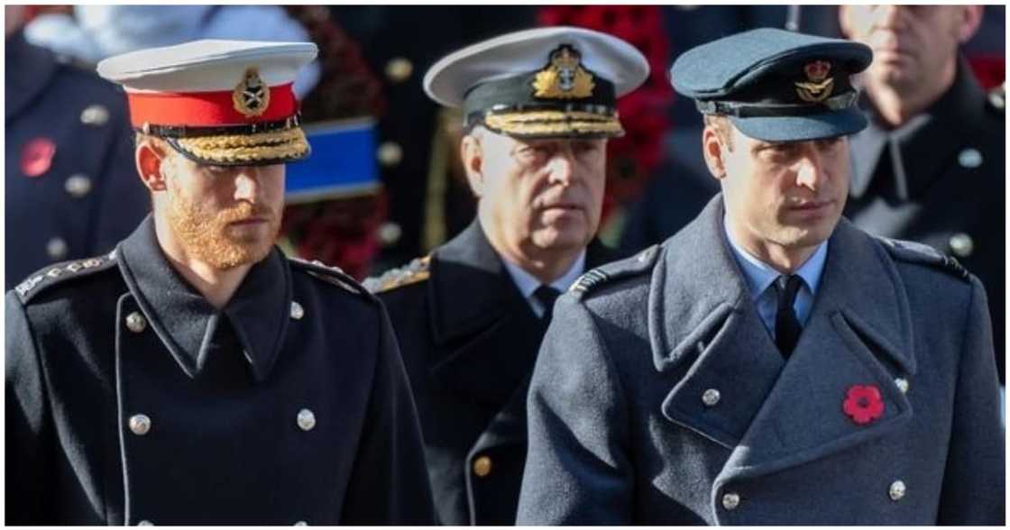 Prince Phillip: Queen Elizabeth Bans Military Uniforms for Royals During Funeral to Accommodate Harry, Andrew Prince Phillip: Queen Elizabeth Bans Military Uniforms for Royals During Funeral to Accommodate Harry, Andrew