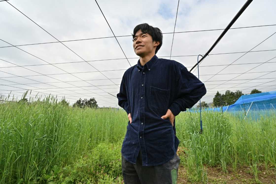 Takuya Haraguchi is hoping to revitalise agriculture in the Fukushima area by growing kiwi fruit Takuya Haraguchi is hoping to revitalise agriculture in the Fukushima area by growing kiwi fruit