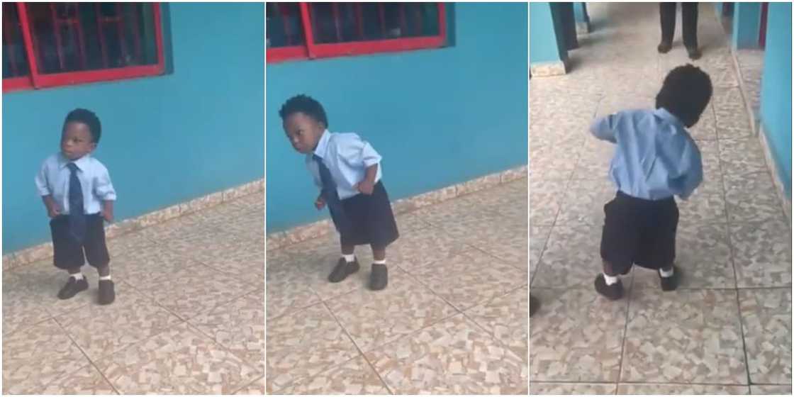 Nigerian man shocked as his son didn't cry on 1st day in school, here's what little boy did that got many talking Nigerian man shocked as his son didn't cry on 1st day in school, here's what little boy did that got many talking