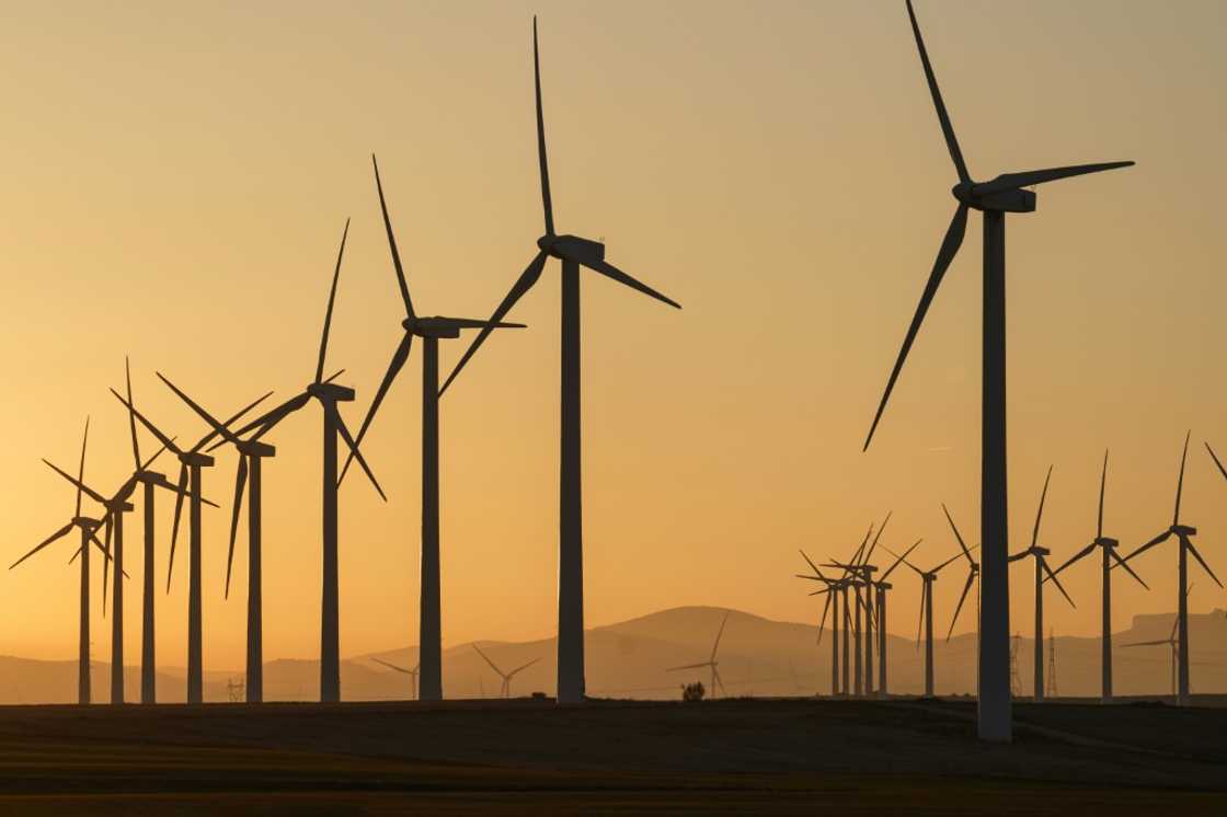 Globally, renewable electric power infrastructure increased 50% last year, according to the International Eneragy Agency