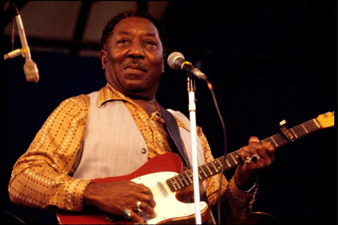 Photo of Muddy Waters on stage Photo of Muddy Waters on stage