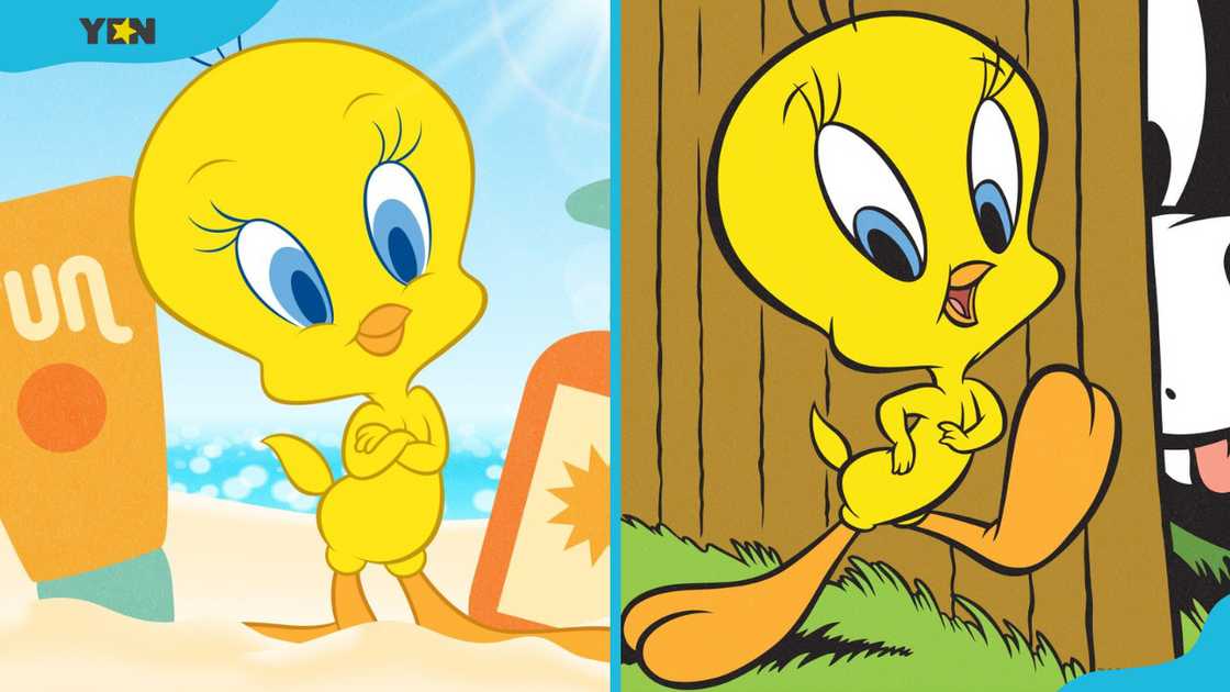 Tweety Bird from Looney Tunes.