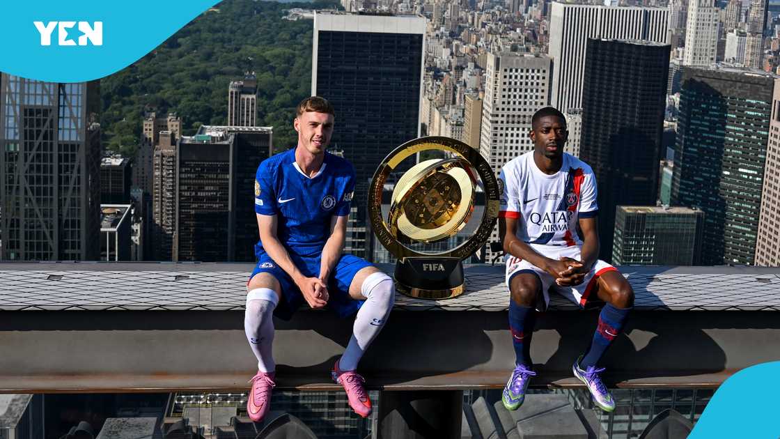 Club World Cup Final: Mysterious Dog Predicts Winner Between Chelsea and PSG Club World Cup Final: Mysterious Dog Predicts Winner Between Chelsea and PSG