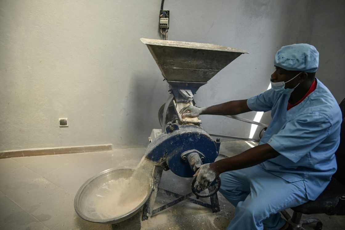 The starchy root vegetable is then ground into flour -- a small proportion is then added to wheat flour as a low-cost substitute